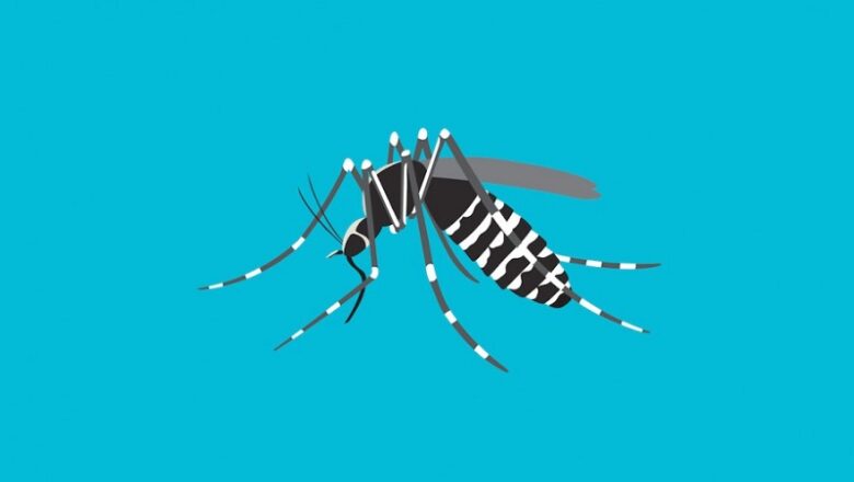 ७० जिल्लामा डेङ्गीको सङ्क्रमण : ललितपुरमा सबैभन्दा धेरै, ८० प्रतिशतलाई लक्षण नै देखिँदैन