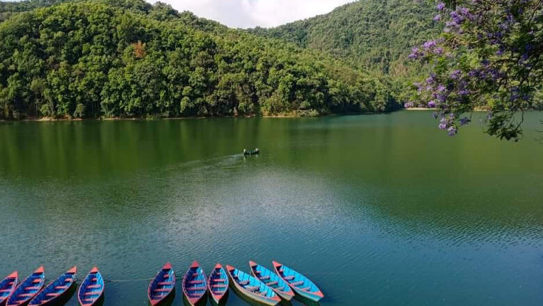 डुंगा दुर्घटनामा गम्भीर घाइते भएकी वृद्धाको मृत्यु