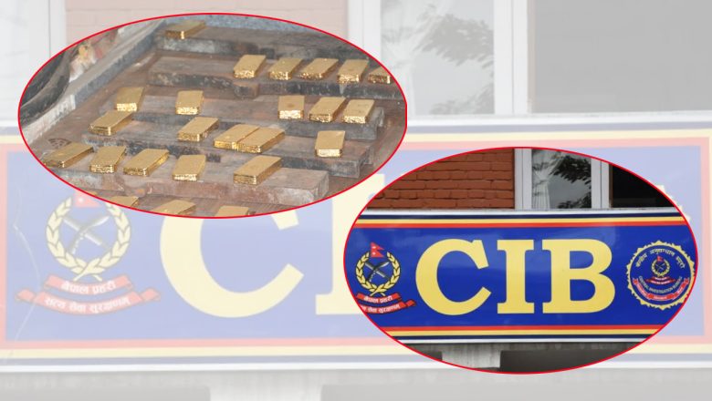 सीआईबीको निष्कर्ष : ब्रेक सु र इलेक्ट्रोनिक सामानमा लुकाएर ३२ क्विन्टल सुन तस्करी