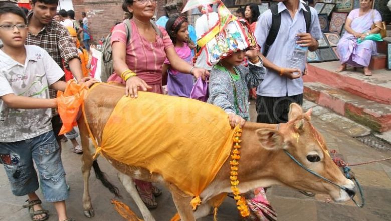गाईजात्रामा दिवंगत आफन्तको सम्झना