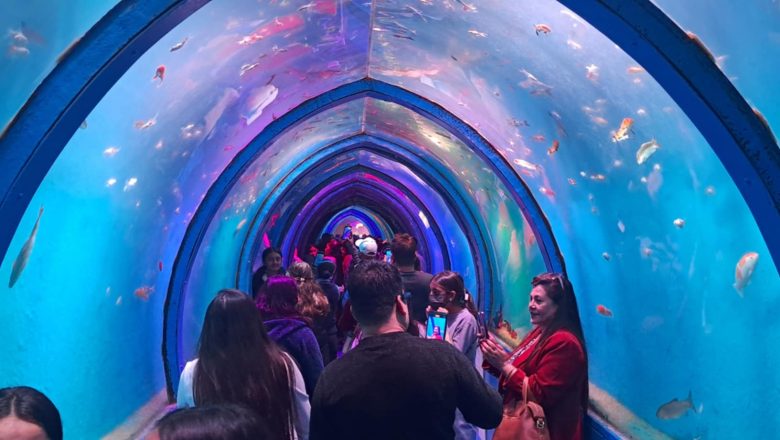 बुटवलको औद्योगिक व्यापार मेलामा फिस टनेलमा दर्शकको भिड