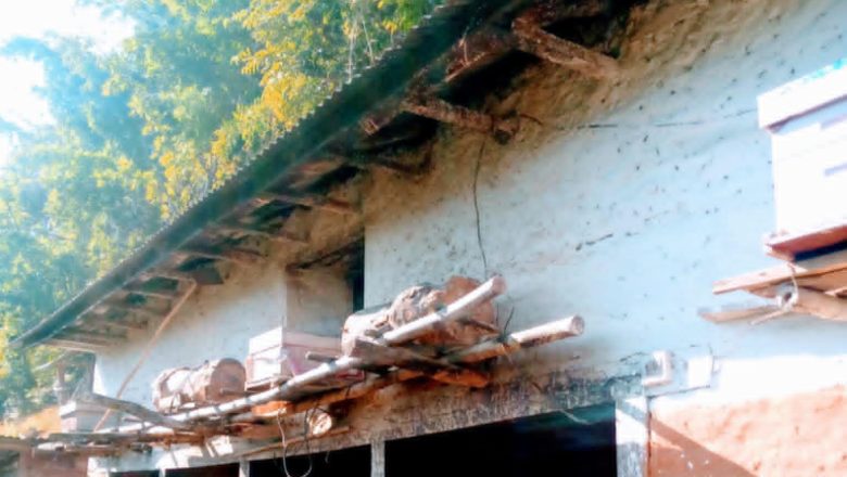 गुल्मीको एक गाउँका प्रत्येक घरमा माहुरी पालन