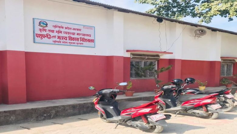 मत्स्यपालक कृषकलाई विद्युत महसुलमा ५० प्रतिशत  छुट