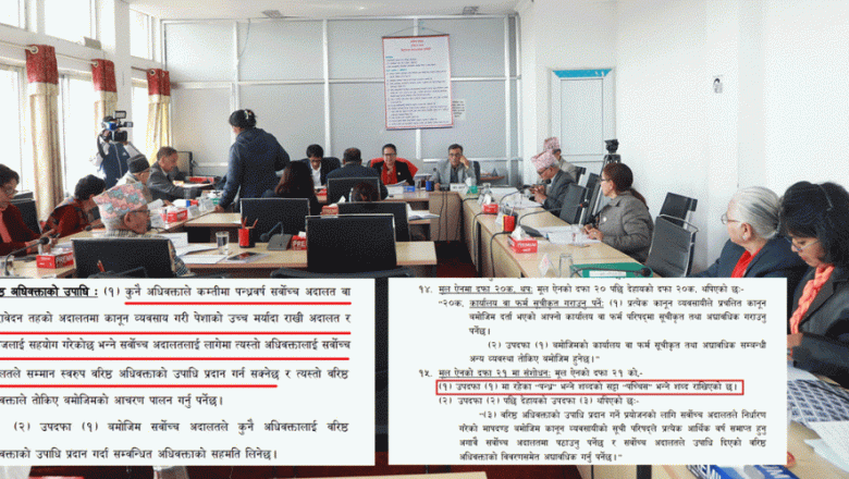 वरिष्ठ अधिवक्ताको उपाधि पाउन २५ वर्ष वकालत गर्नुपर्ने