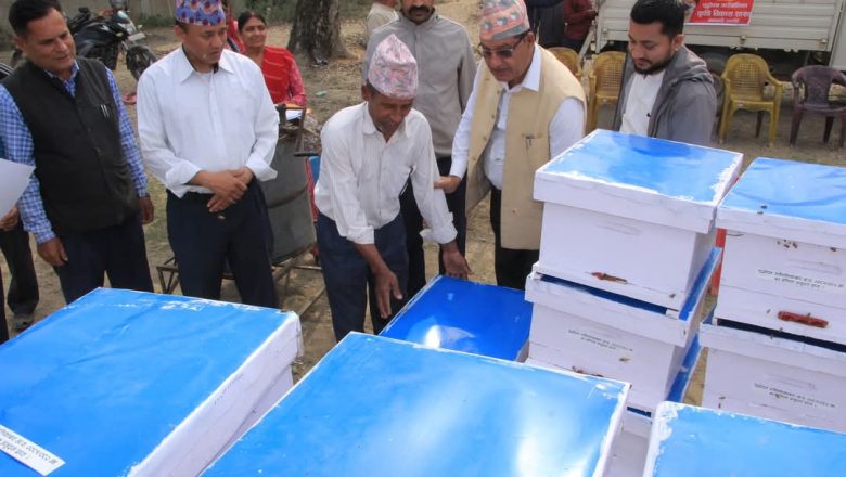 शुद्धोदन गाउँपालिकामा मौरी पालन तालिम तथा घार वितरण कार्यक्रम सम्पन्न