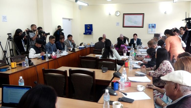 आज चारवटा संसदीय समितिका बैठक हुँदै