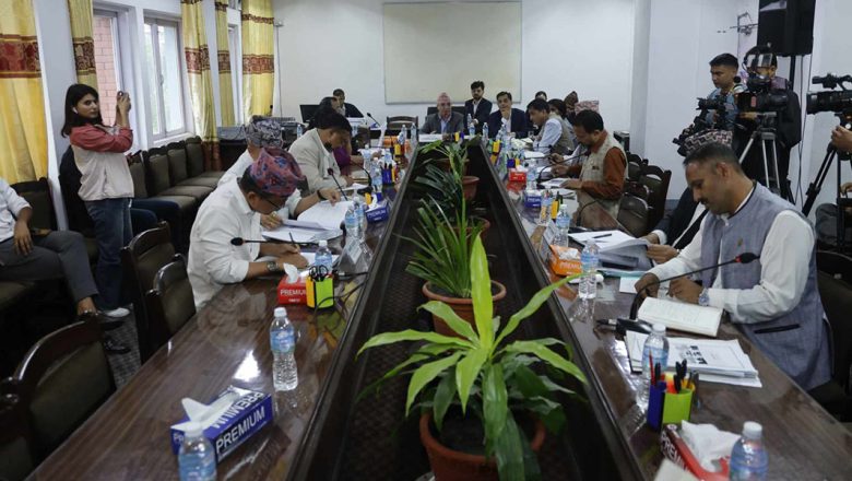 संघीय संसदका पाँच समितिको बैठक बस्दै