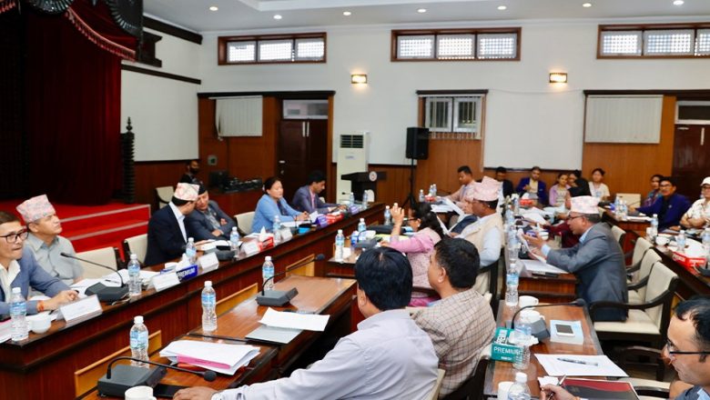 आज सङ्घीय संसद्का चार संसदीय समितिको बैठक बस्दै