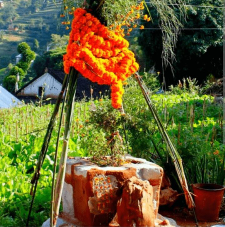 आज हरिबोधिनी एकादशी मनाइदै