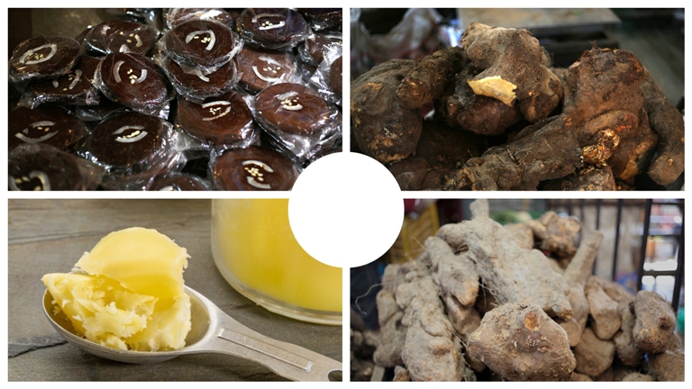 माघे सङ्क्रान्ति पर्व मनाइँदै, कृषि जैविक विविधता दिवस पनि आजै