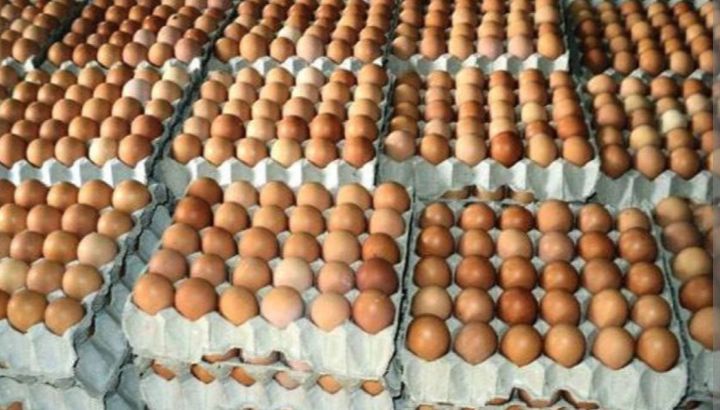 अण्डाको मूल्यमा भारी गिरावट, प्रतिक्रेट ३ सय ७५ रुपैयाँ