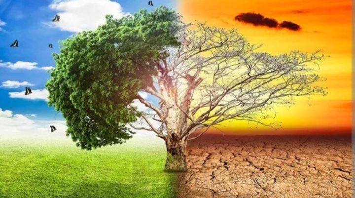 जलवायु परिवर्तनका कारण मौसमजन्य घटना बढ्दै जाँदा भविष्य नै जोखिममा