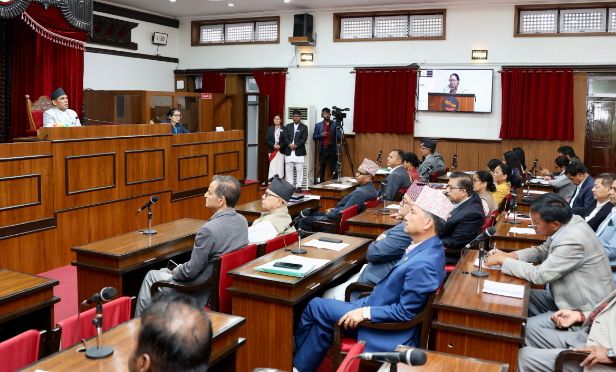 राष्ट्रियसभा बैठक : इन्धन असहजता र बढ्दो महँगीका विषयमा ध्यानाकर्षण