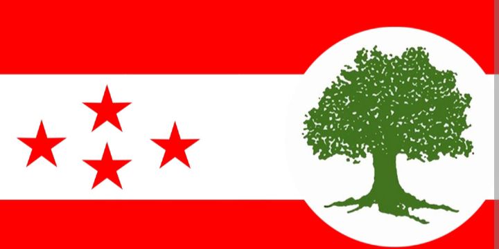 कांग्रेसको १५औं महाधिवेशनको तयारी शुरु, ७७ वटै जिल्लामा केन्द्रीय प्रतिनिधि खटाइए