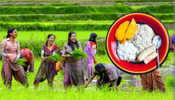 आज १५ असार ,२३औं राष्ट्रिय धान दिवस : नारामा आत्मनिर्भर, बिउ र मलमा परनिर्भर