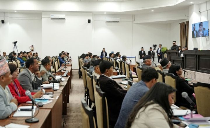 संवैधानिक परिषद् सम्वन्धित चार अध्यादेश निष्क्रिय