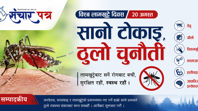 नेपालमा १६८ प्रजातिका लामखुट्टे, रोगको जोखिम बढ्दै