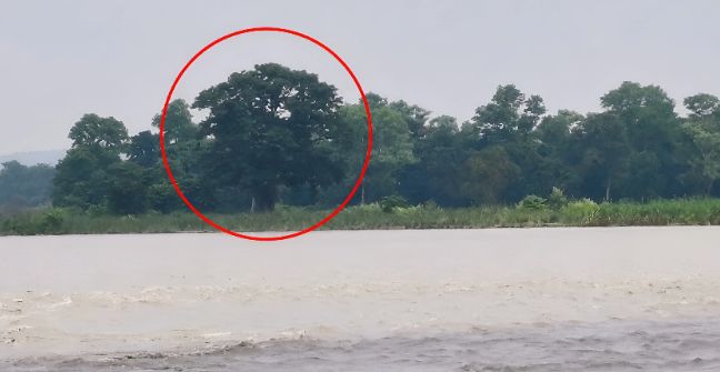 नारायणीले बगायो सुस्ताको सीमा चिनारी, सिमानाको पहिचान दिने मुख्य आधारहरू खोसिदा बढ्यो अन्योल