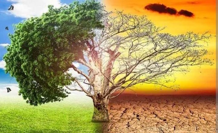 जलवायु परिवर्तनको असर र समाधान