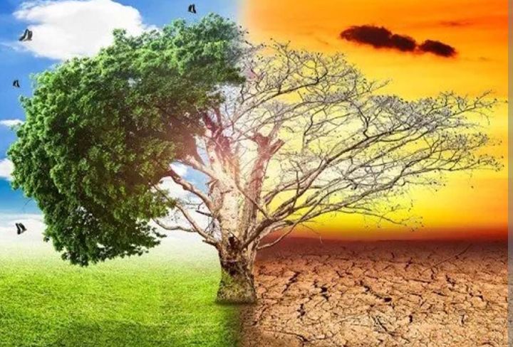 जलवायु परिवर्तनको असर र समाधान